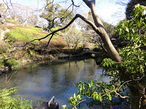池田山5
